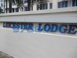 Leicester Lodge (D13), Apartment #85053422